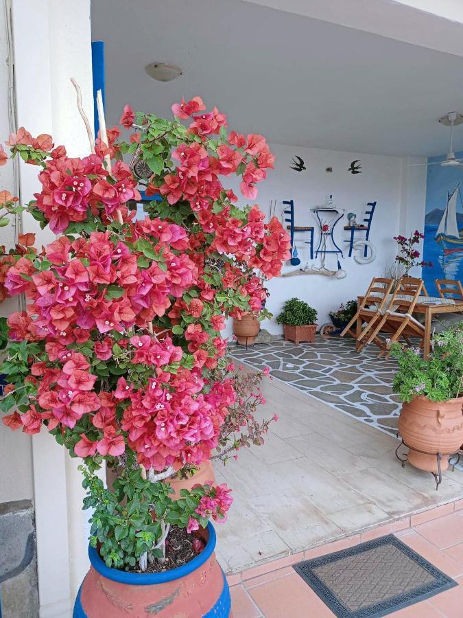 Alexia House Apartment Neos Marmaras Exterior photo